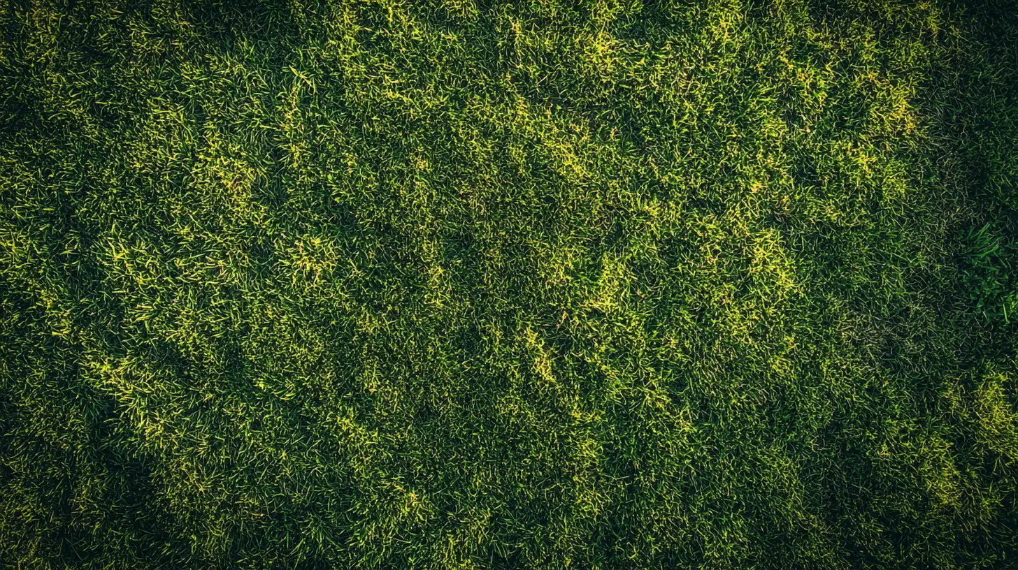 Grass Care Tips for a Healthier Lawn in Lakewood Ranch, FL